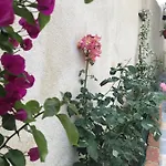Aloe Vera Appartement Sarandë