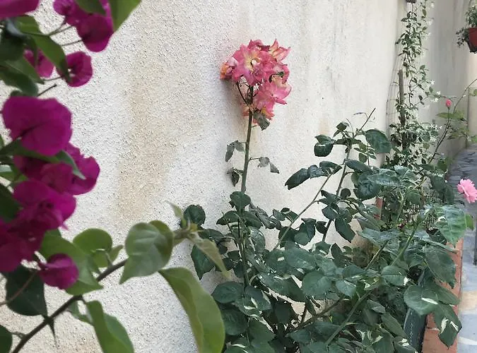 Aloe Vera 公寓 Sarandë